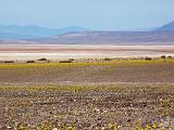 Death Valley 030